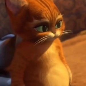 Meet your Posher, Isaac